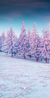 خلفية الأشجار الوردية الملونة والتلال الباردة والثلوج ، خلفيات الشتاء ، طبيعة 4K