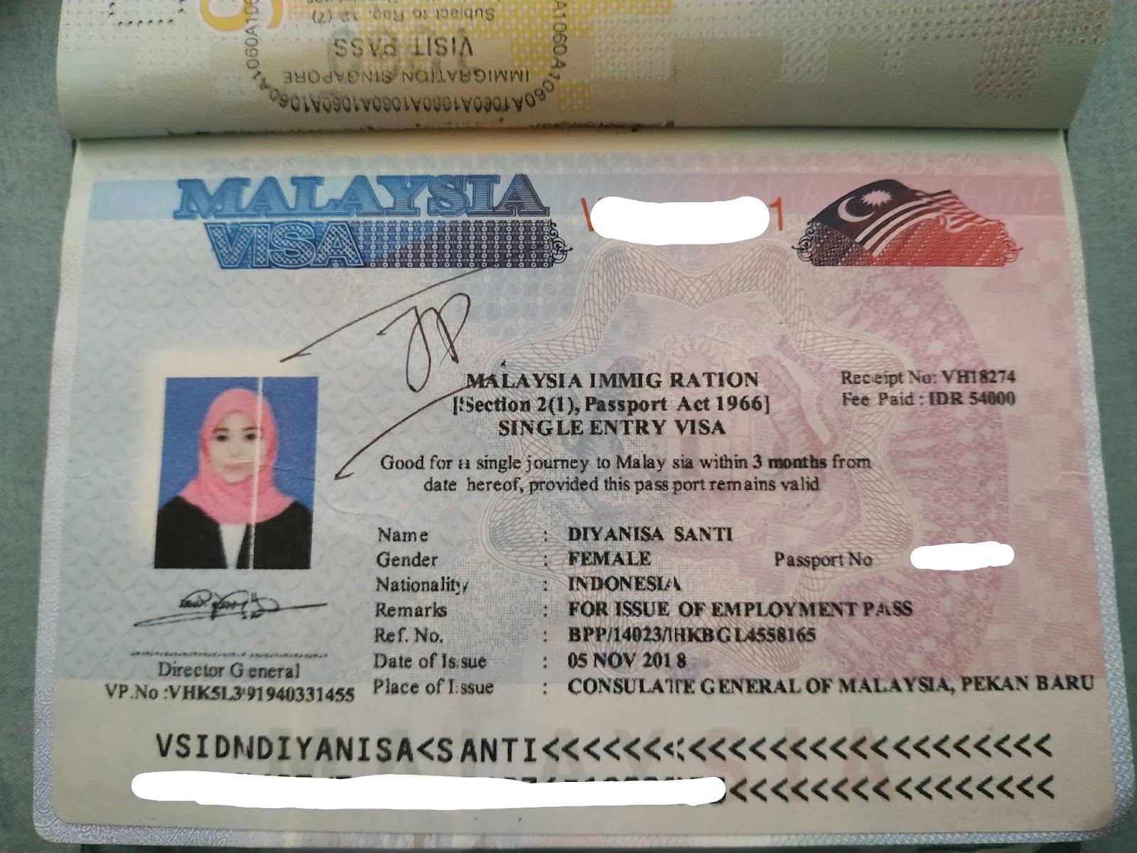 Виза в Малайзию. Энтри виза. Фото на визу в Малайзию. Виза Малайзия требования к фото.