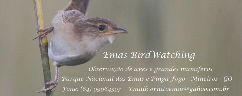 Emas BirdWatching