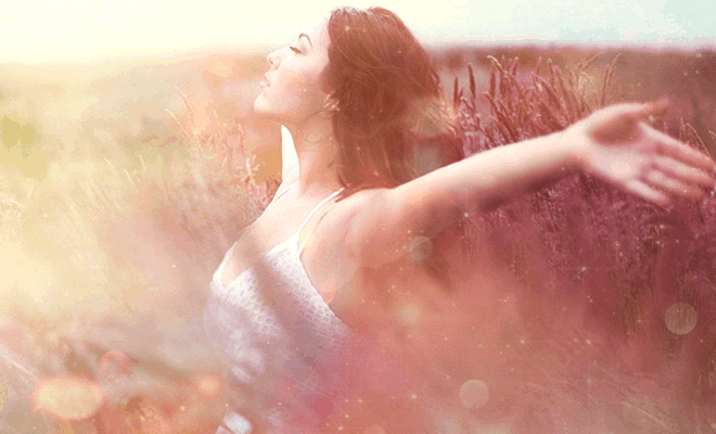 Animation.gif