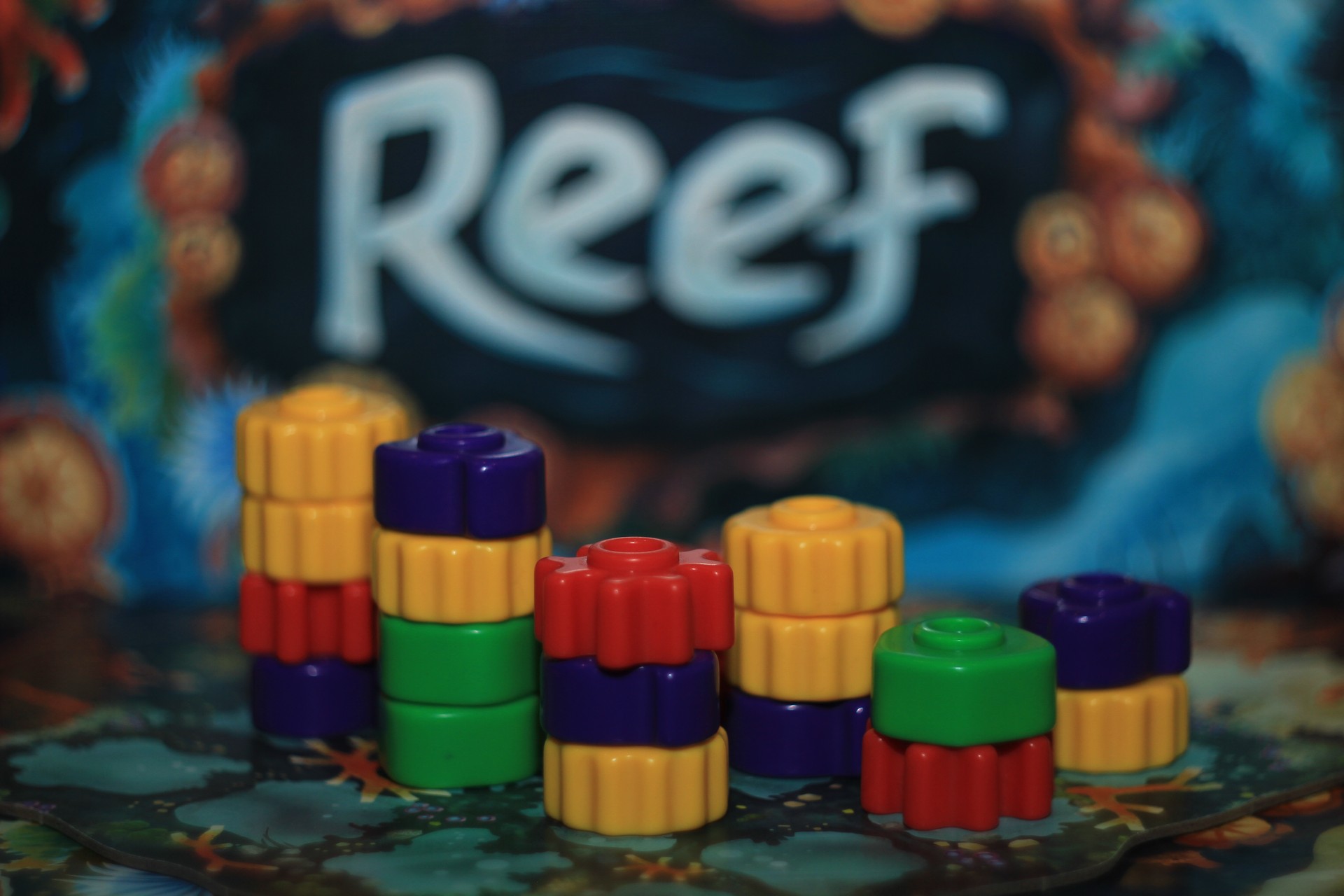Reef - recenzja gry rodzinnej