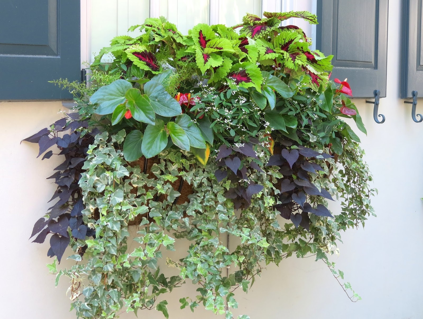 JLL DESIGN Window Box Ideas & More Garden Inspirations