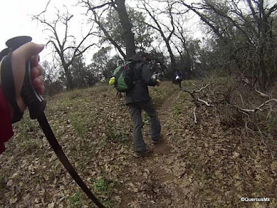 Caminando en el Middle Ridge Trail