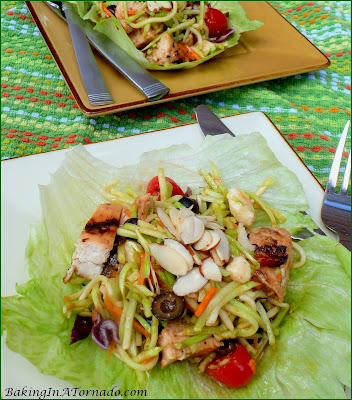 Balsamic Chicken Salad, grilled marinated chicken mixed up with slaw, vegetables and sauce. Make a day ahead, it's ready when you are, perfect for a summer lunch or dinner | Recipe developed by www.BakingInATornado.com | #recipe #chicken