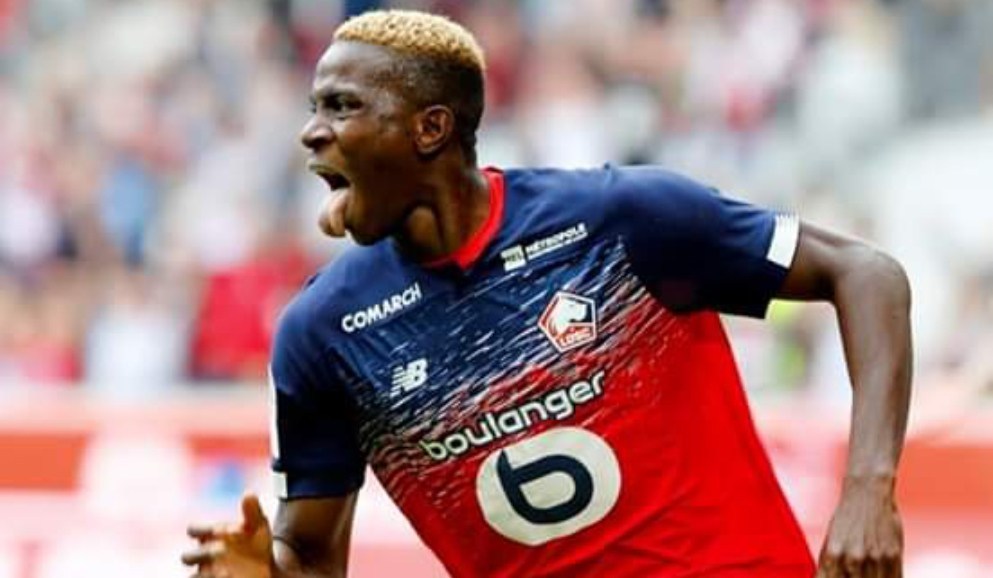 Nigerian goal machine Victor Osimhen scores again for Lille | Nigerian ...