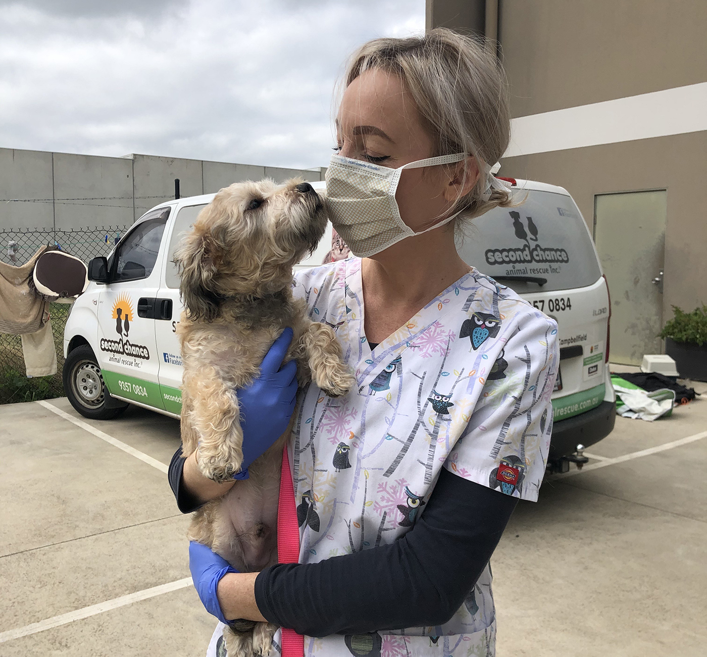 Animal shelter offers kerbside pet drop off for vet visits