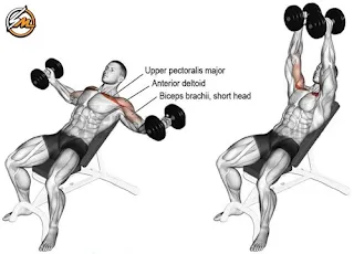 6 Exercises to Target Your Upper Pecs and Build a Bigger Chest
