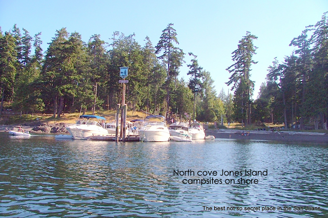Jones Island marine park dock and campground in the San Juan Islands
