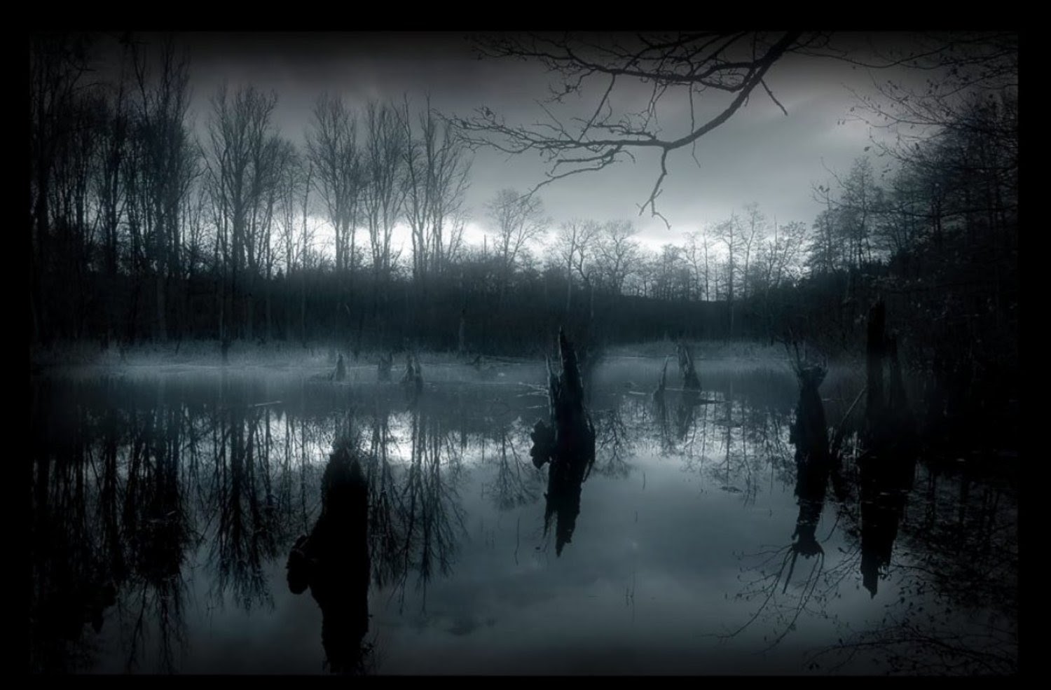 Тихи пруды холод и мрак вод их. Мрак тьма. Беспросветная тьма. Мрачные фотосессии. Непроглядная тьма.