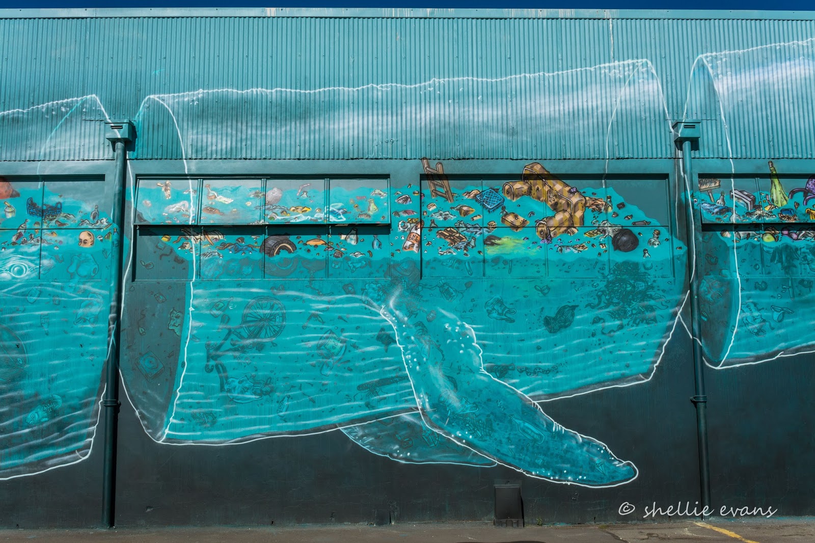 Two Go Tiki Touring: Sea Walls: Murals for Oceans- Napier, Part 1