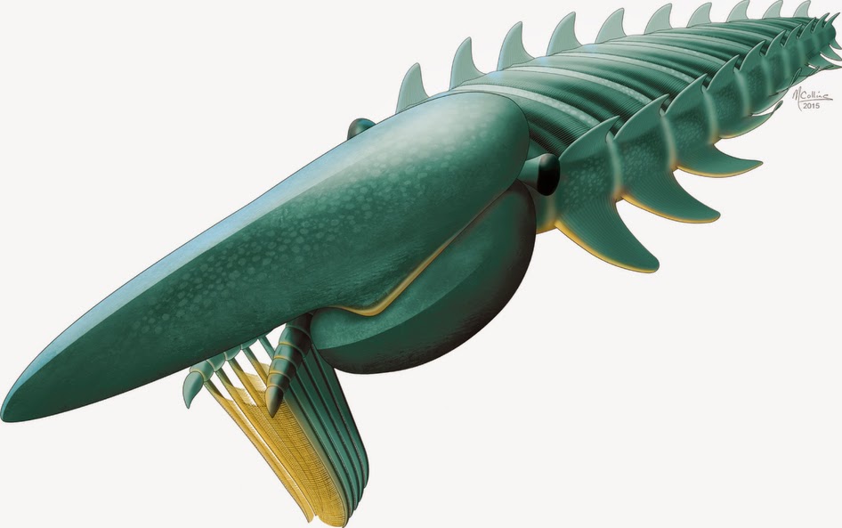 The Dragon's Tales Aegirocassis benmoulae a 2+ Meter (!!!) Long