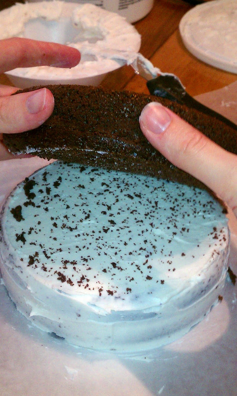 The Kersten Kolache Project My First (Real) Fondant Cake