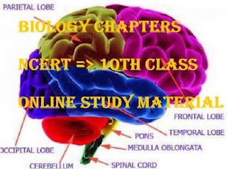 Biology Online Study Material on 10th class