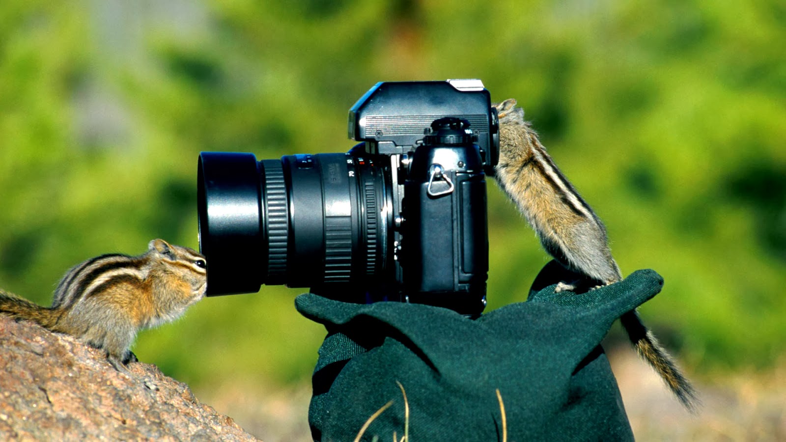 Cameras Beautiful HD photography - Deep HD Wallpapers For You| HD ...
