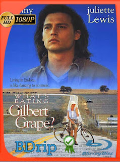 ¿A quién ama Gilbert Grape? (1993) BDRIP 1080p Latino [GoogleDrive] SXGO