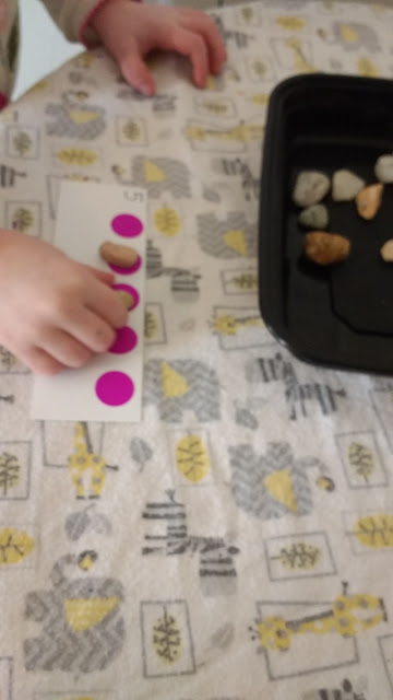 using the cards to count rocks