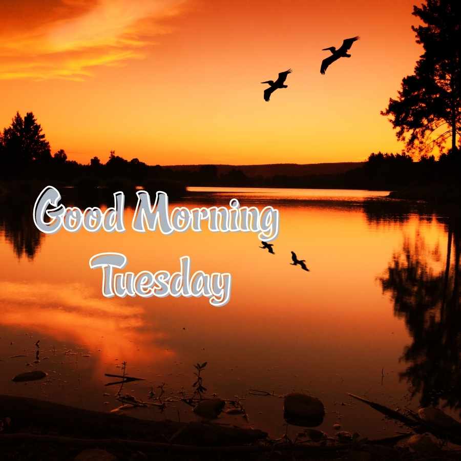 gud morning tuesday