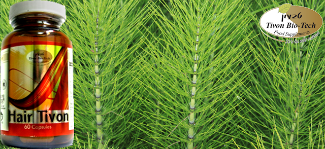 צמחי מרפא לעצירת נשירה בשיער