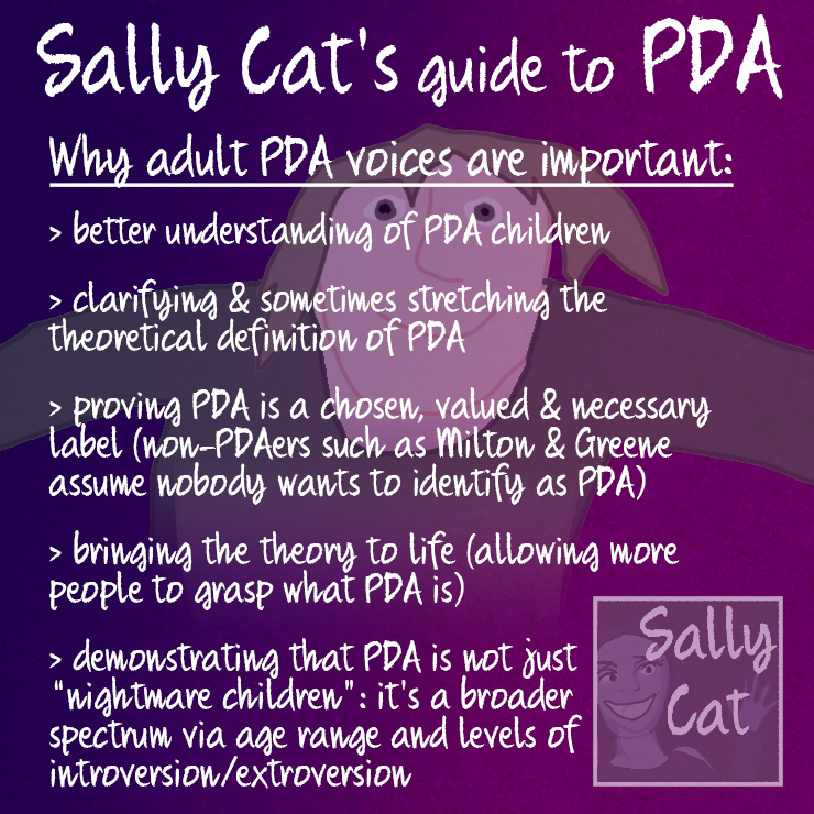 Sally Cat PDA March 2020