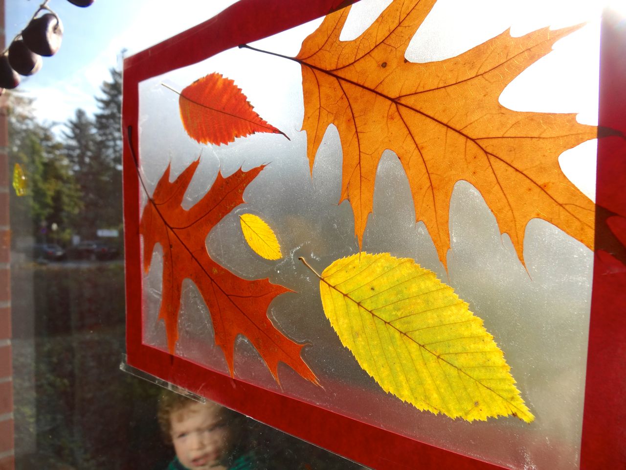  Frische Brise: Herbstliche Fensterbilder 