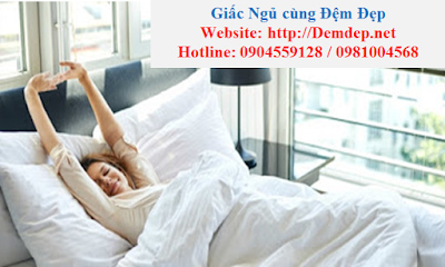 https://demdep.net/blog.html
