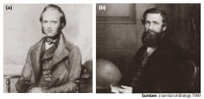 Charles Darwin dan Rulles Wallace Charles Darwin dan Rulles Wallace
