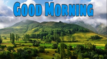Good Morning Good Morning