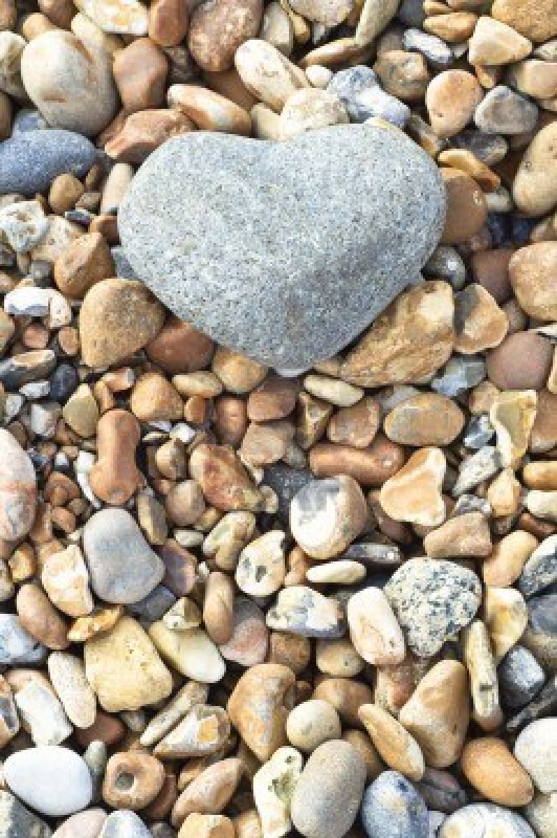 Veritas vincit: Cuore di pietra