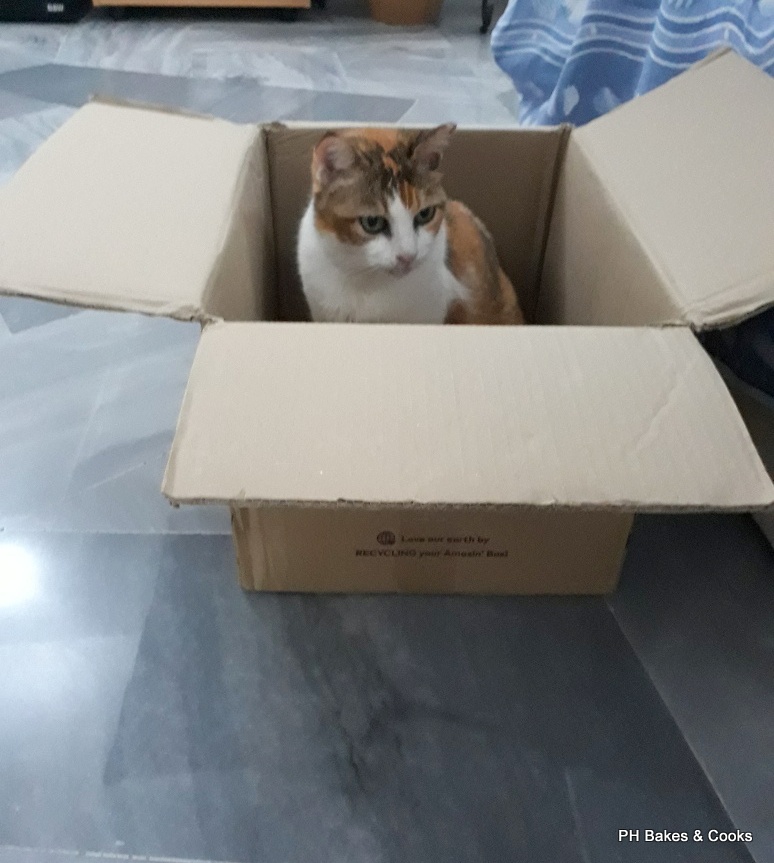 PH the Malaysian Carnivore: Thank God No Gila Shoppers Today