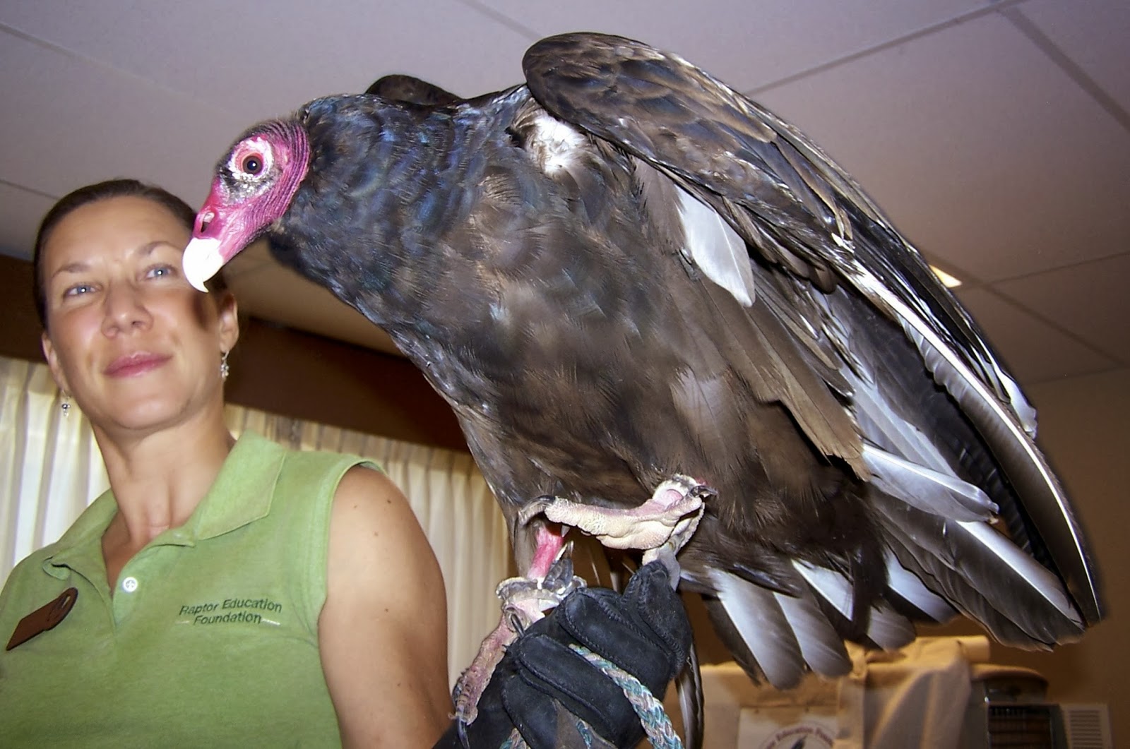 The Natural World Colorado Raptors of Winter An Interview With Anne Price