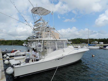 Lurhs fishing boat 38