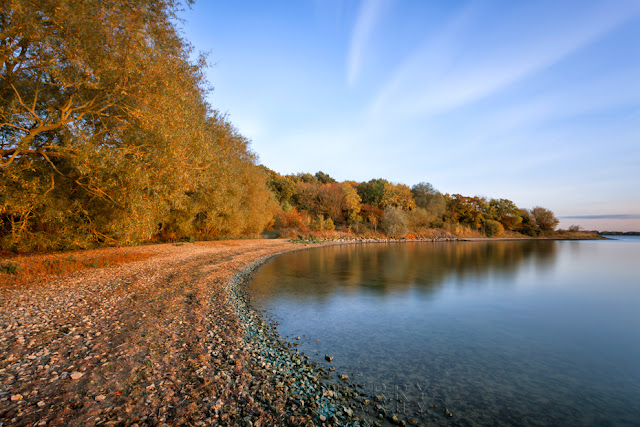 Grafham Water reservoir with trees in full autumn colour in Cambridgeshire