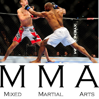 Artes Marciales Mixtas MMA