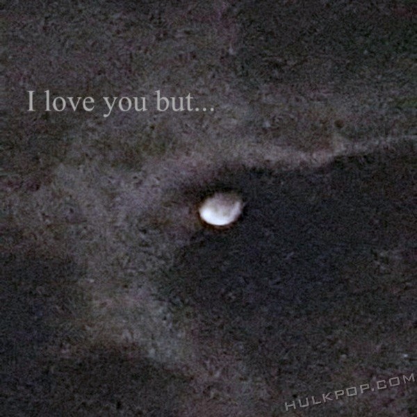 Dichter – I love you but… – Single