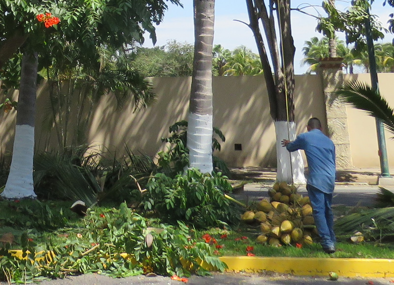 Aménager Une Terre Avec Des Plantes Idées Décoration Aménager Une Terre Avec Des Plantes Idées Décoration