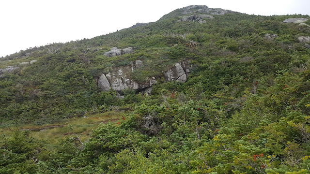 Sentier vers le mont Marcy