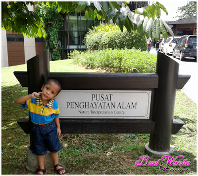 Tempat Menarik di Putrajaya, Pusat Penghayatan Alam, Taman Wetland. Tempat Best di Putrajaya, Pusat Penghayatan Alam, Taman Wetland.