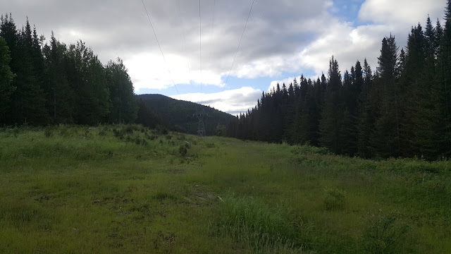 Ligne électrique sur le sentier vers le mont Vallières-de-Saint-Réal