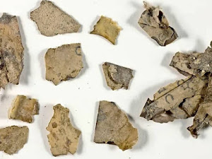 Hallan textos bíblicos de hace 2.000 años en Israel, el primero desde los Rollos del Mar Muerto
