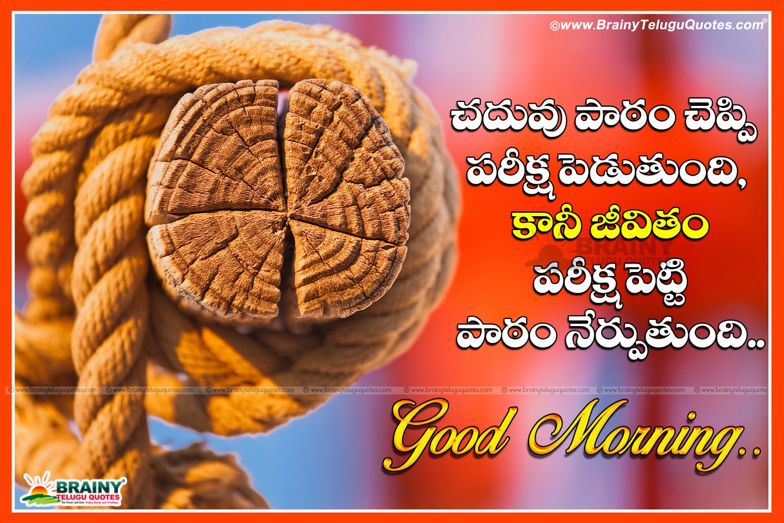 Heart Touching Good Morning Quotes In Telugu Brainyteluguquotes