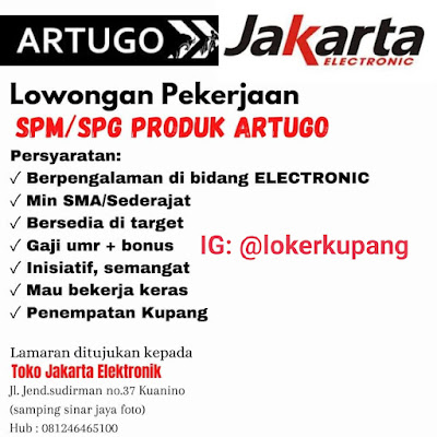 Lowongan Kerja Toko Jakarta Electronic Sebagai SPM/SPG Produk Artugo