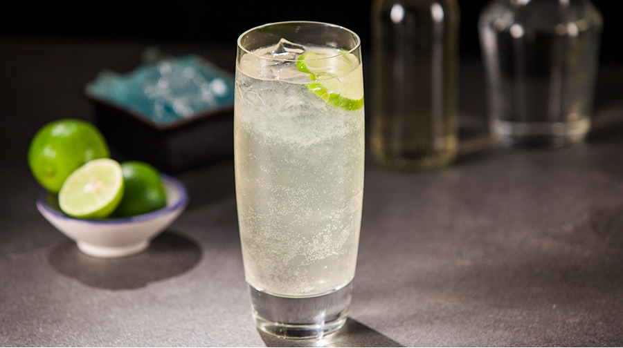 5 tragos que puedes preparar con pisco que no son pisco sour (Primera