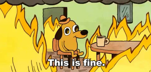 LopesCa: SIGNIFICADO do MEME This Is Fine