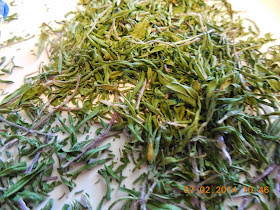 Recipes for Judys&rsquo; Foodies: Home Grown & Home Dried Savory!