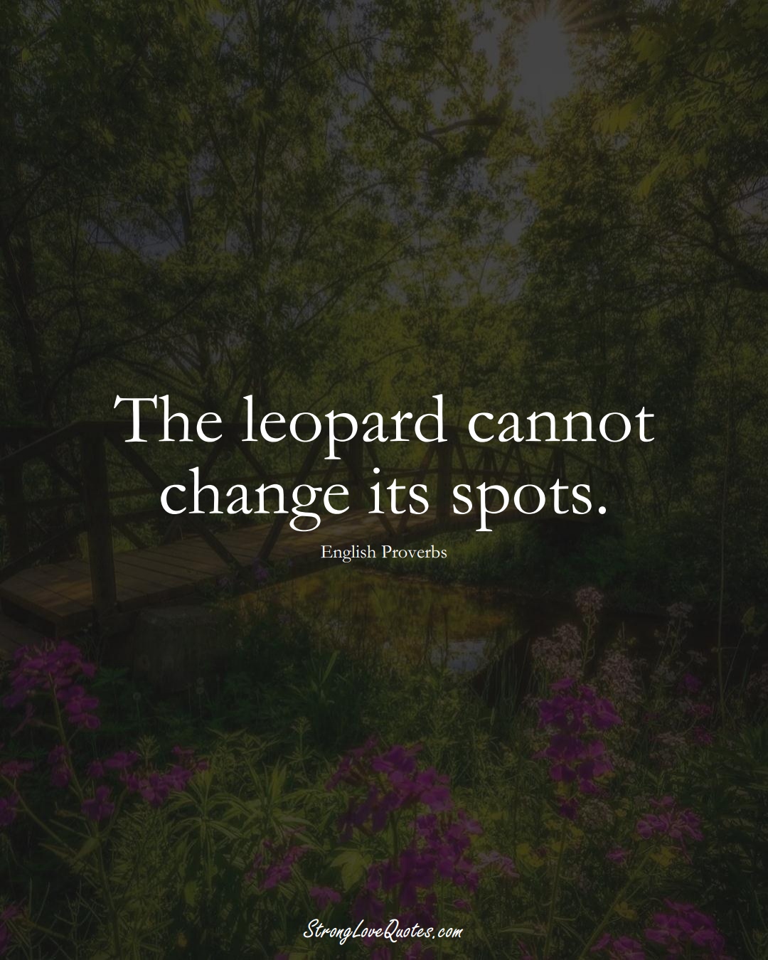 The leopard cannot change its spots. (English Sayings);  #EuropeanSayings