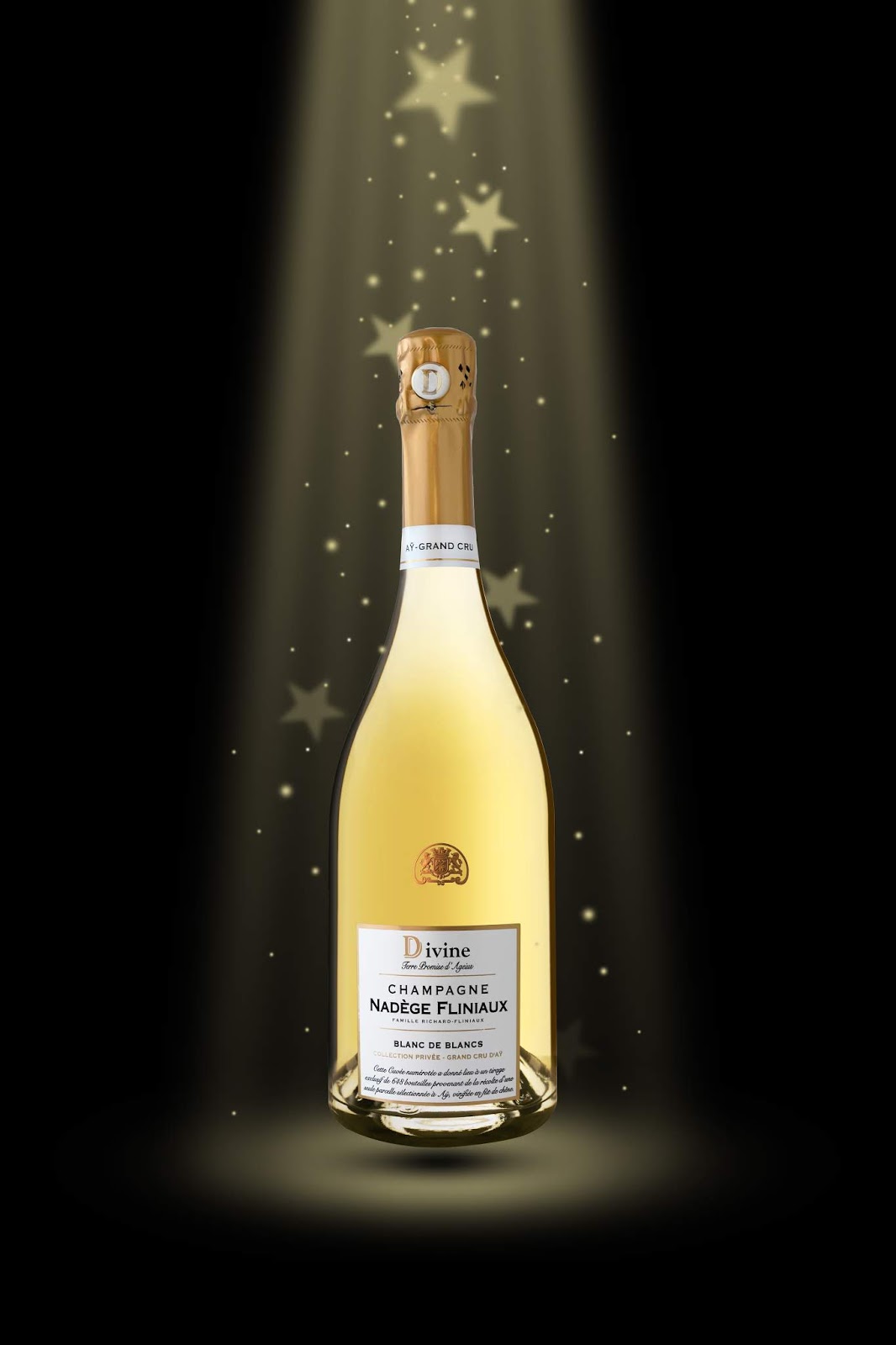 Guide VERON des Champagnes Champagne Nadège Fliniaux Divine Terre