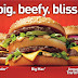 Critical Thinking Deceptive Fast Food Advertisements