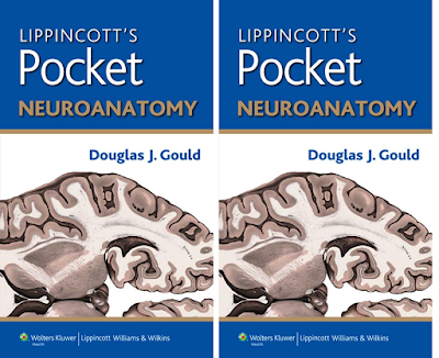 Lippincott’s Pocket Neuroanatomy PDF Free Download