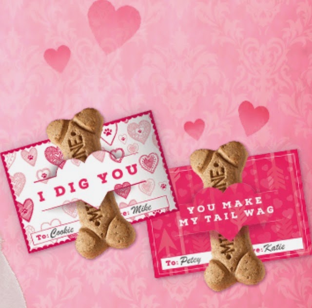 valentines dog treats