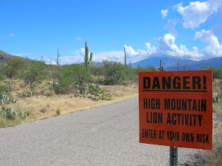 Arizona'daki Saguaro Milli Parkı'nda bir uyarı işareti